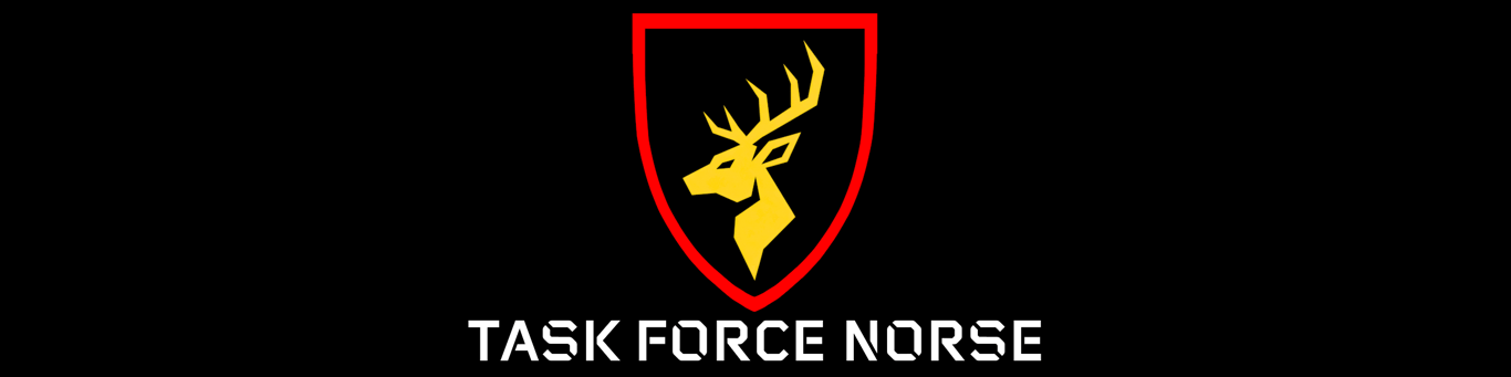 Task Force Norse banner