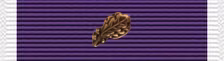 Purple Heart 1 Cluster