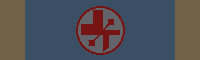 Medical Excellence Award