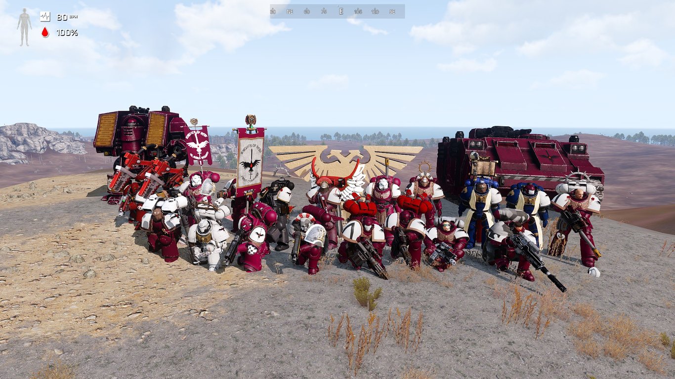 Knights of Ryxis First Company, Warhammer 40k Space Marine Chapter banner