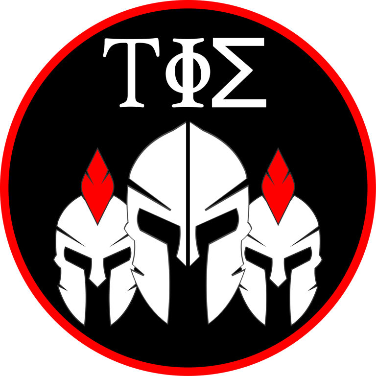 Task Force Spartan logo
