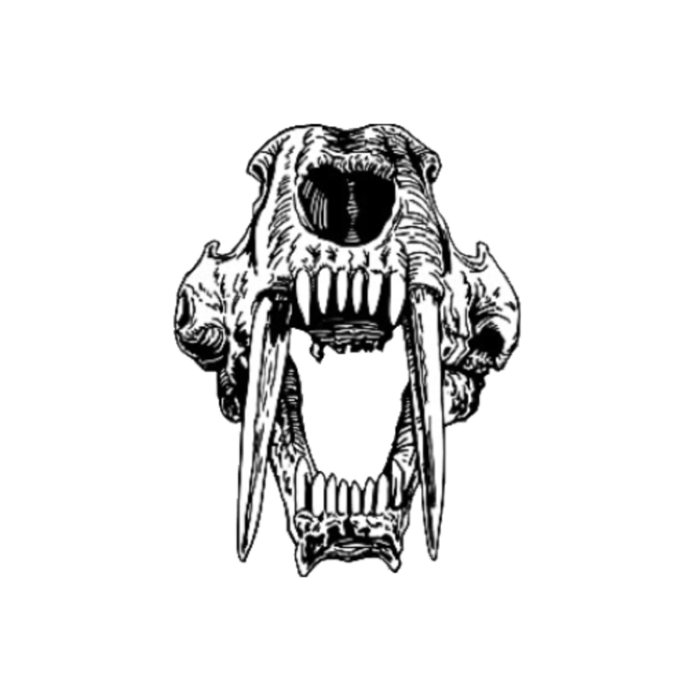 Sabre Company SOF logo