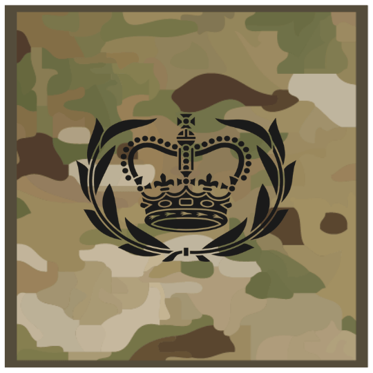 Warrant Officer Class 1