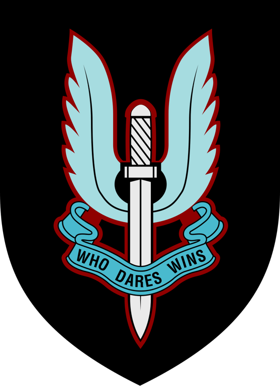 D Squadron, 22 SAS logo