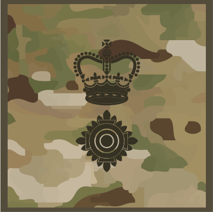 Lieutenant Colonel