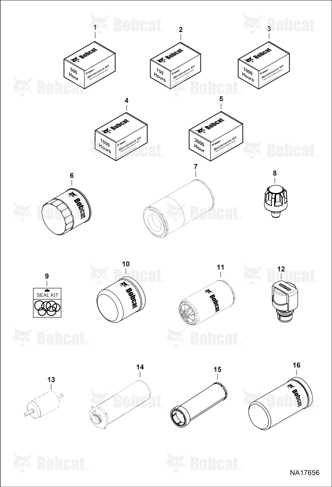 Maintenance Items (Scheduled Maintenance)