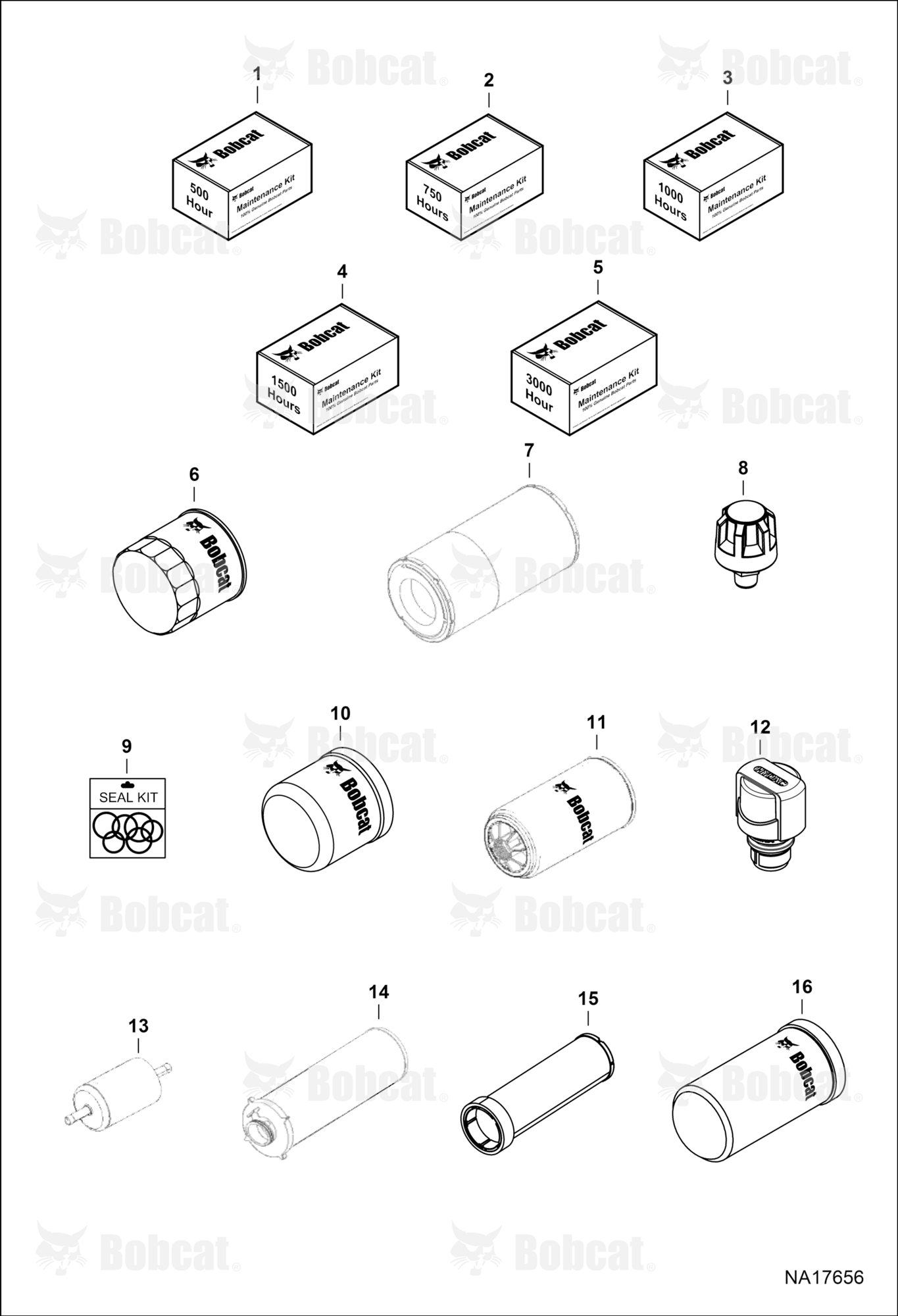 Maintenance Items (Scheduled Maintenance)