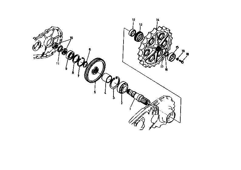 Drive Gear (2)