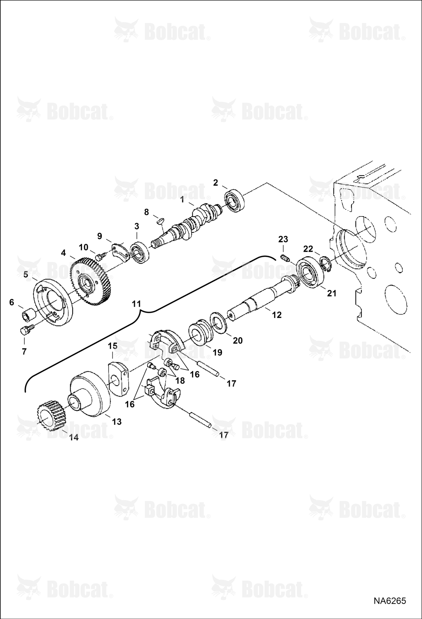 Fuel Camshaft & Governor Shaft