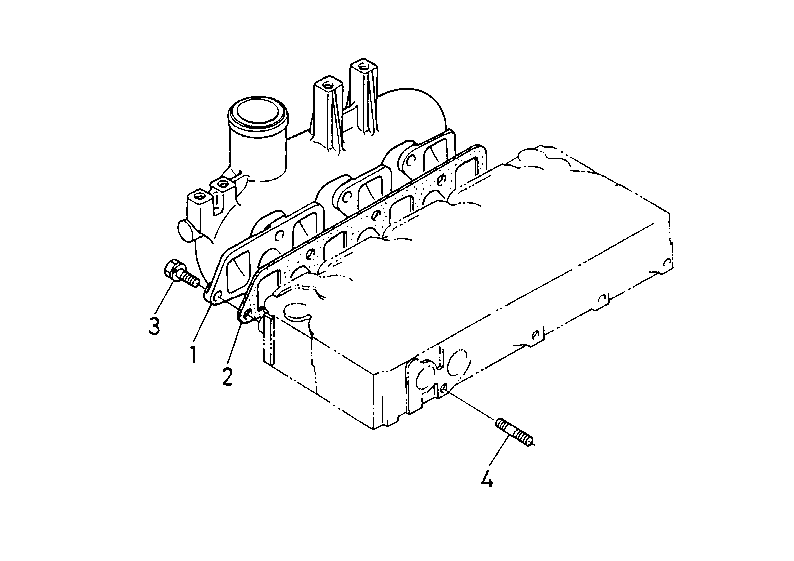 Manifold