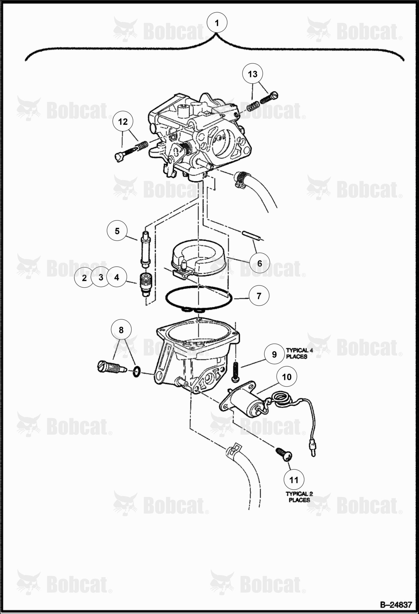 Carburetor Assembly (Gasoline)