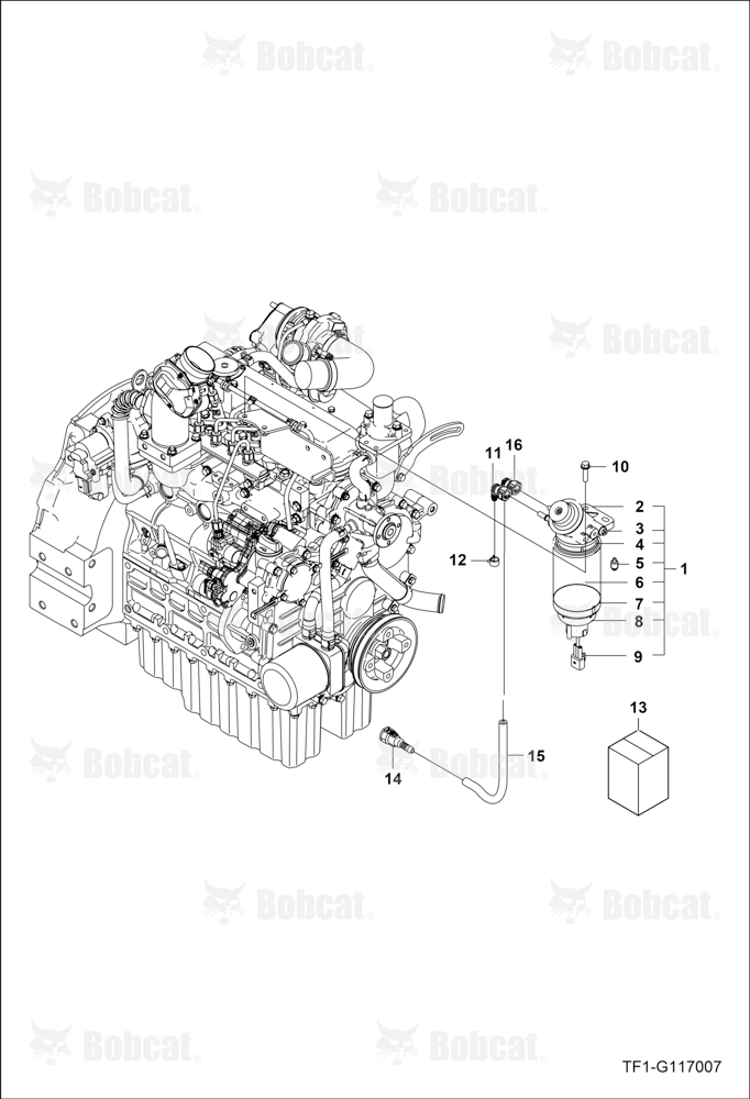 Fuel Filter Group (Assembly)