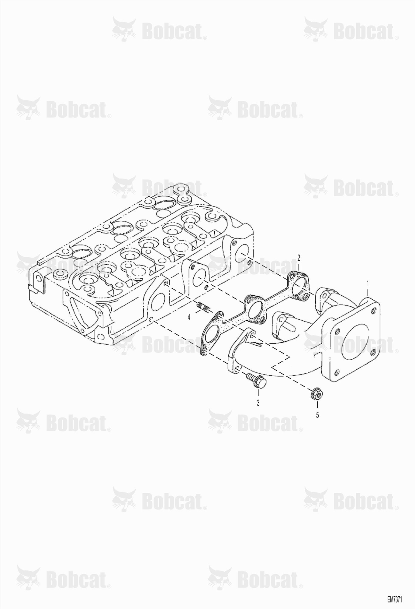 Exhaust Manifold