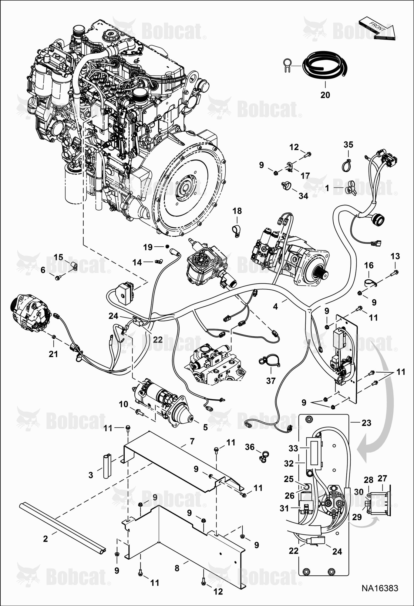 Engine Electrical Circuitry (Harness)