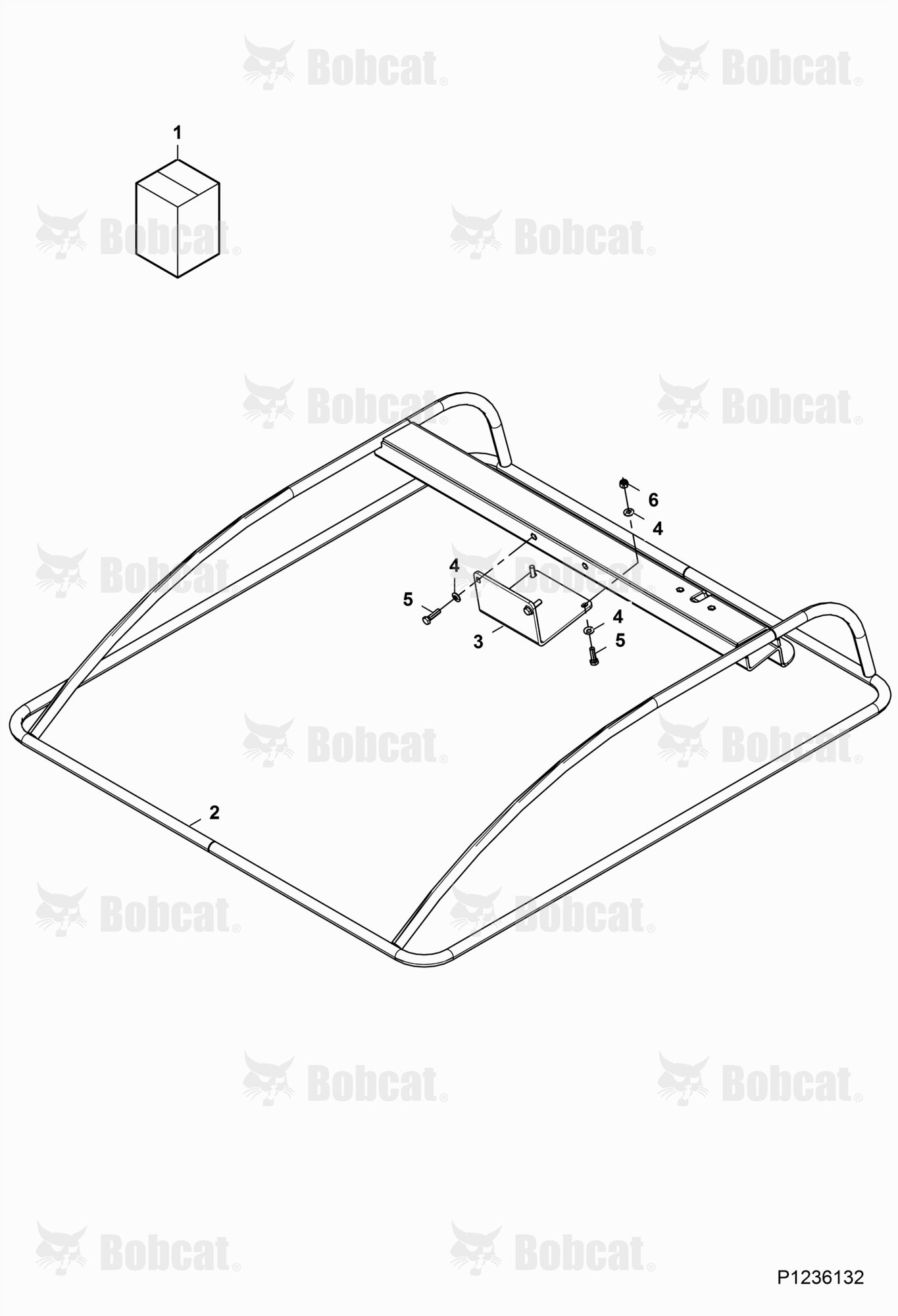 Canopy Frame