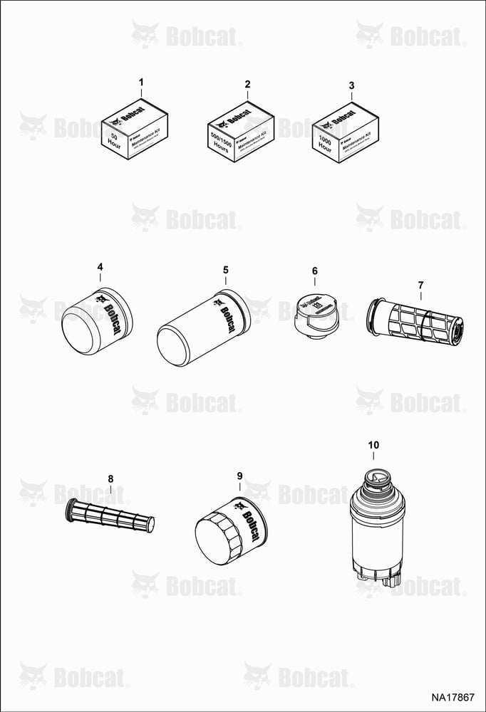 Maintenance Items (Scheduled Maintenance)