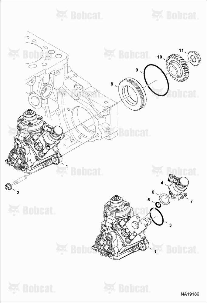 Injection Pump