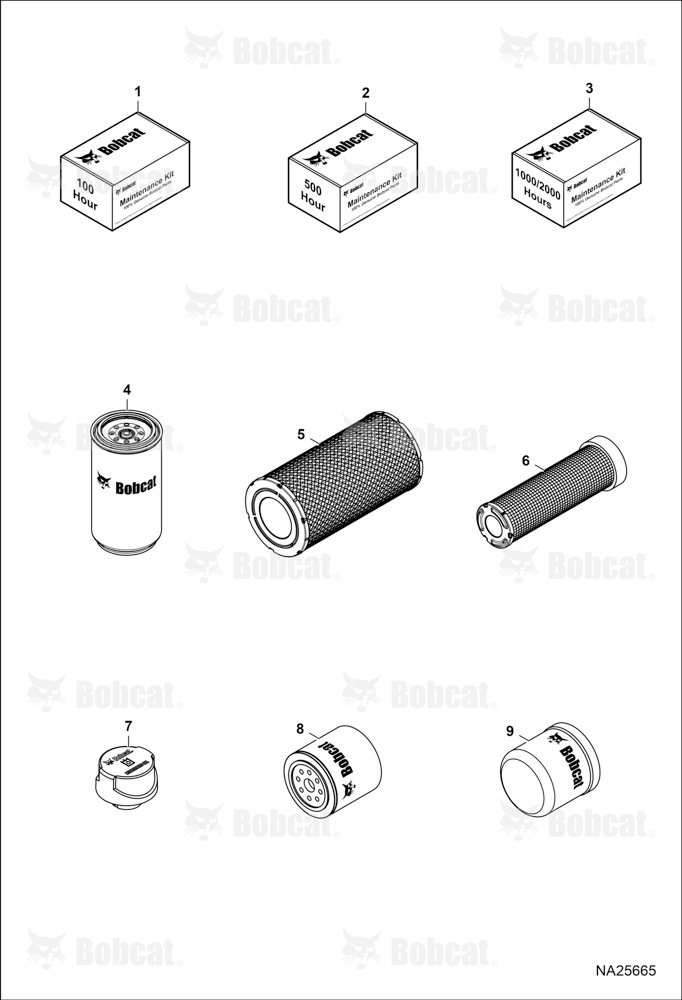 Maintenance Items (Scheduled Maintenance)