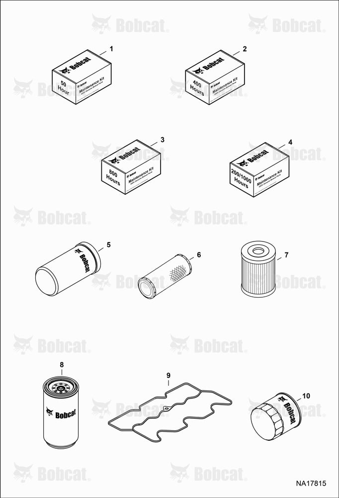 Maintenance Items (Scheduled Maintenance)