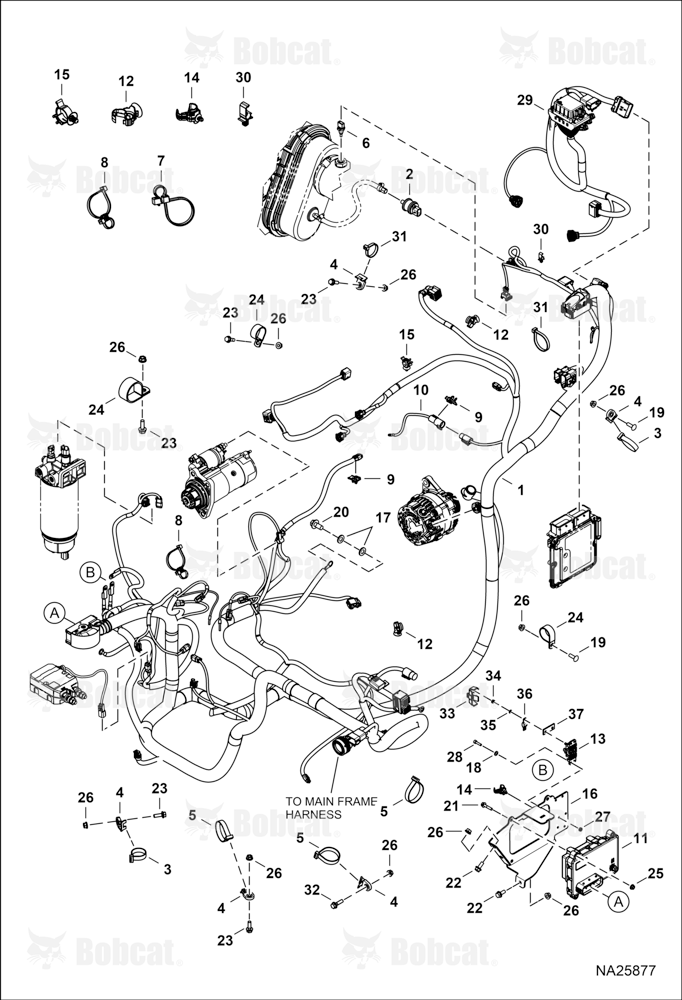 Engine Electrical Circuitry (Harness) B69811001 & Above