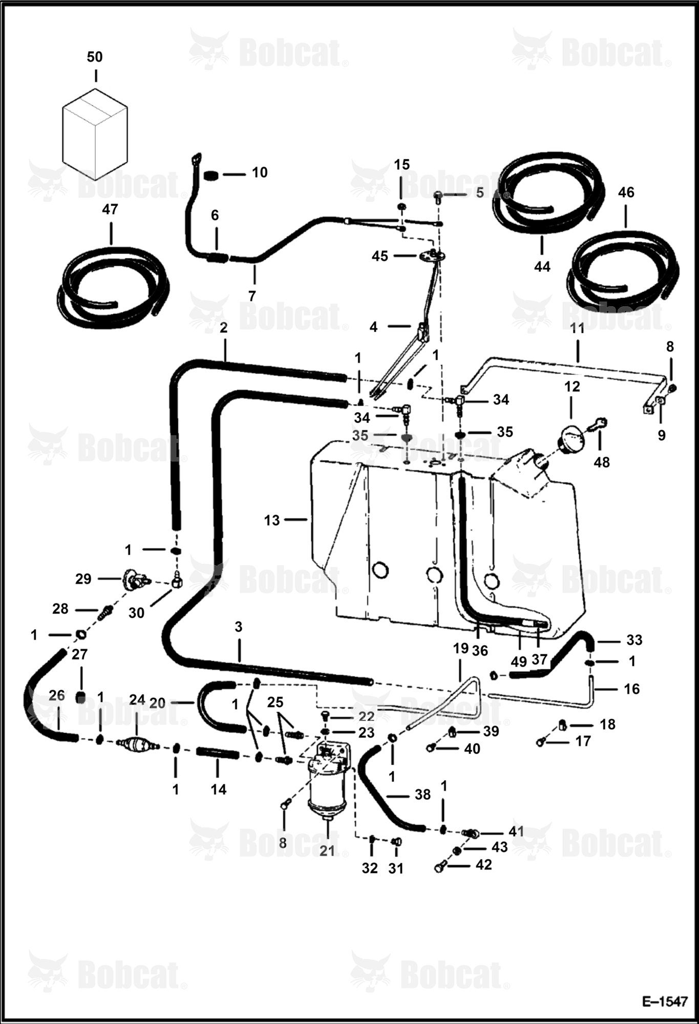 Fuel System  502613316 & Above
