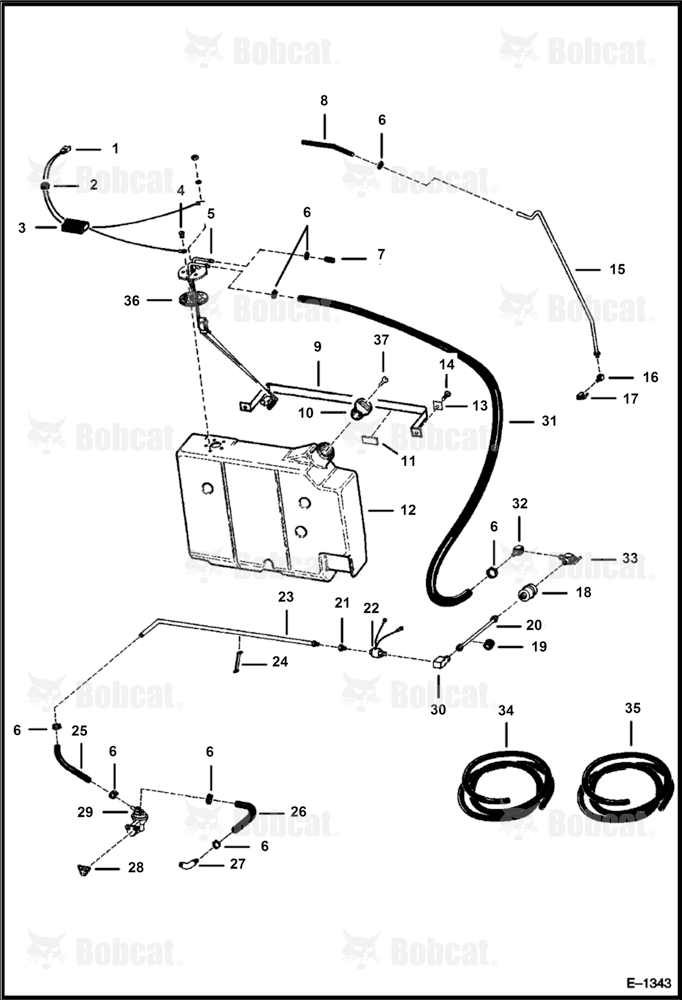 Fuel System  501815251 & Below
