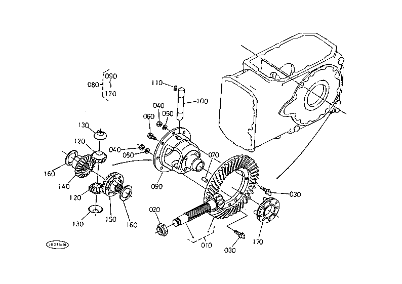 Rear Differential
