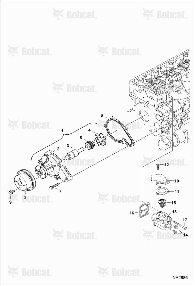Water Pump & Thermostat