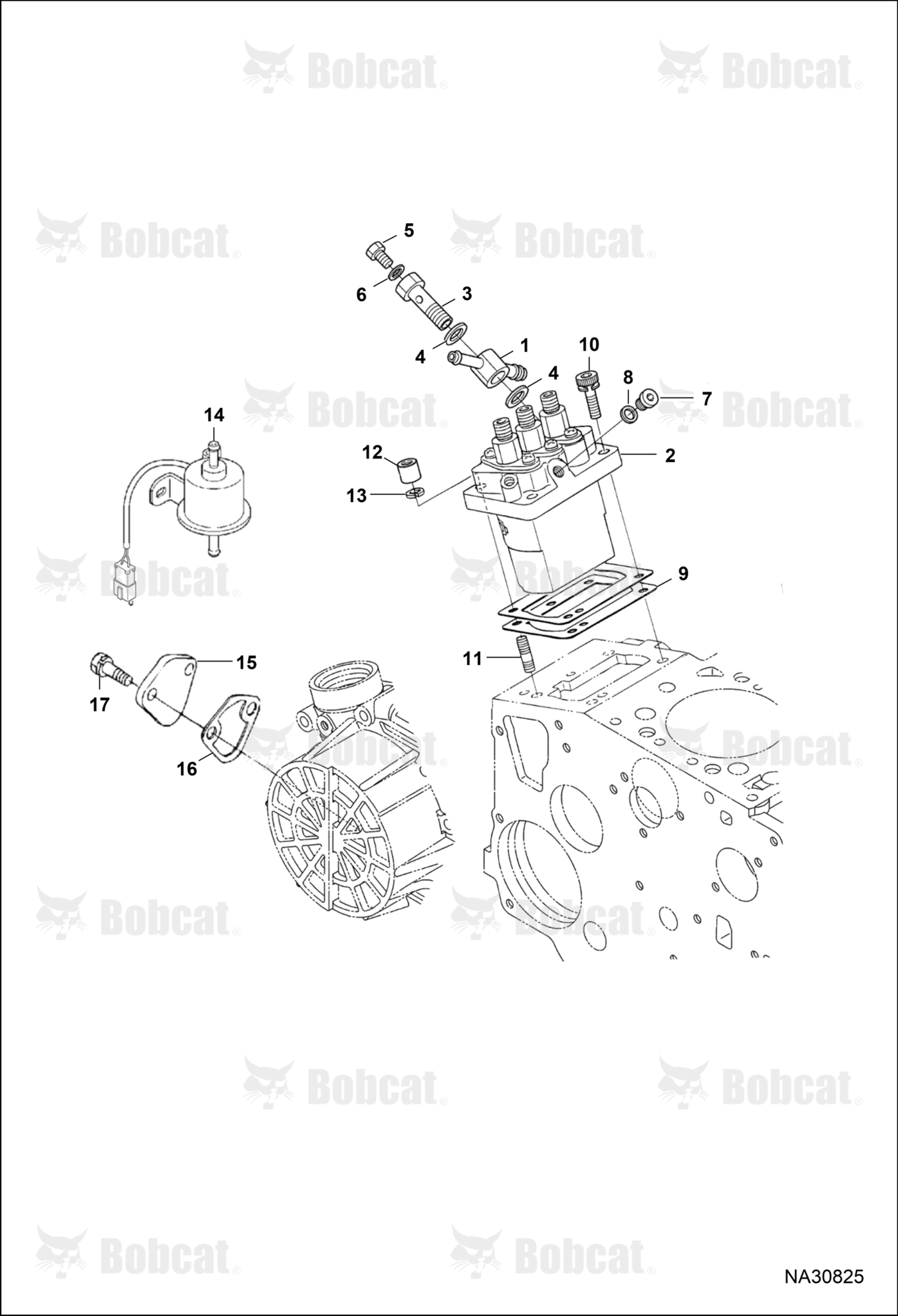 Fuel & Injection Pump