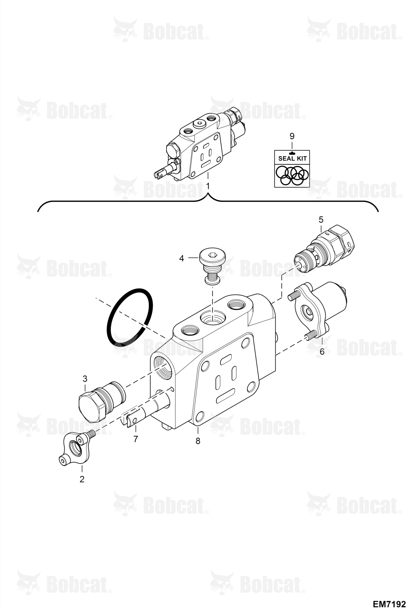 Valve Section (Boom) (Model 60070023GR)
