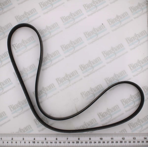 Pid bc 7525674 pt belt poly v pos 1