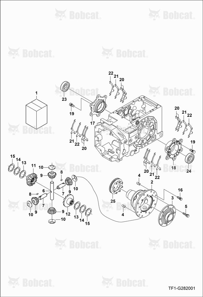 Rear Differential Group
