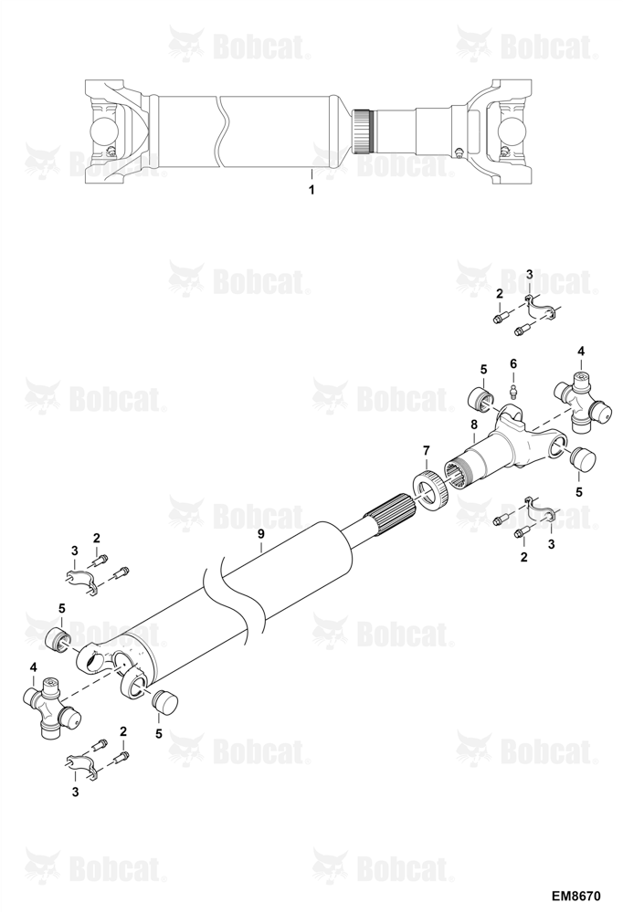 Drive Shaft