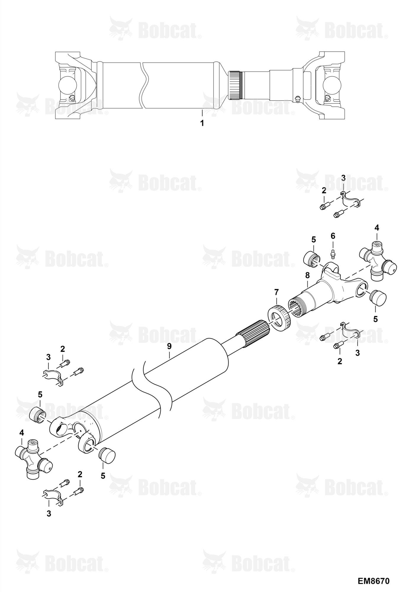 Drive Shaft