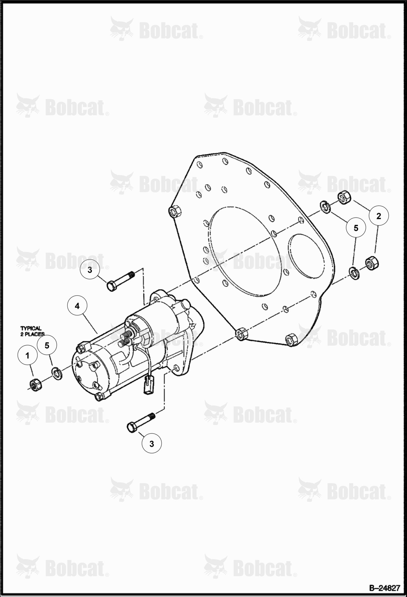 Starter (Diesel)