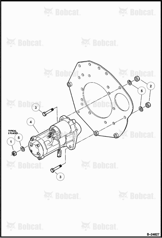 Starter (Diesel)