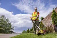 Thumbnail of STIHL FSA 86 R Cordless Trimmer Action