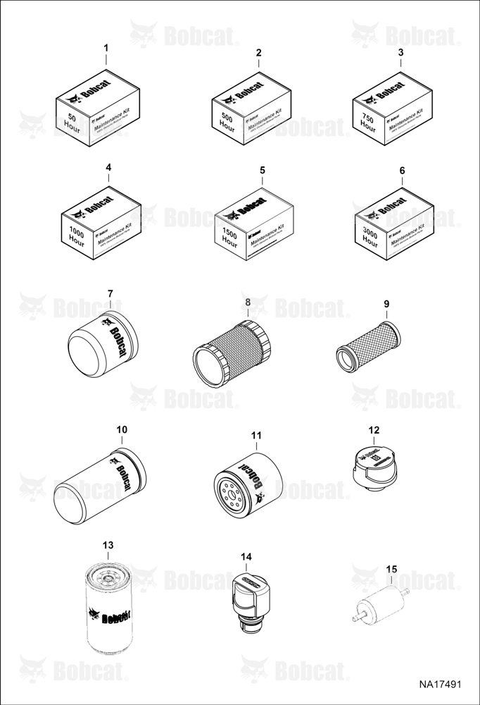 Maintenance Items (Scheduled Maintenance)