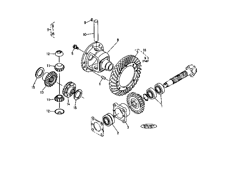 Differential System