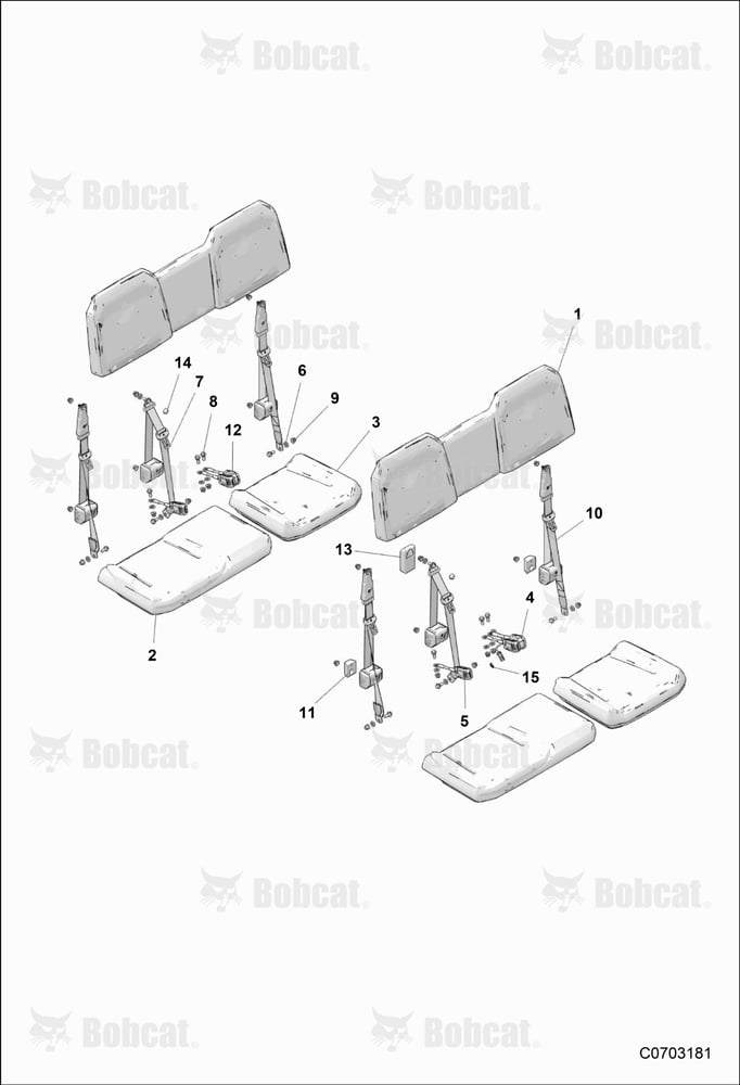 BODY, Seat and Seat Belts