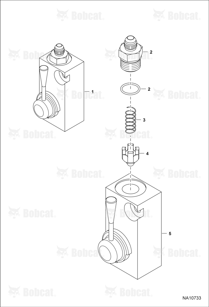 Ride Control Kit (Valve Assembly)