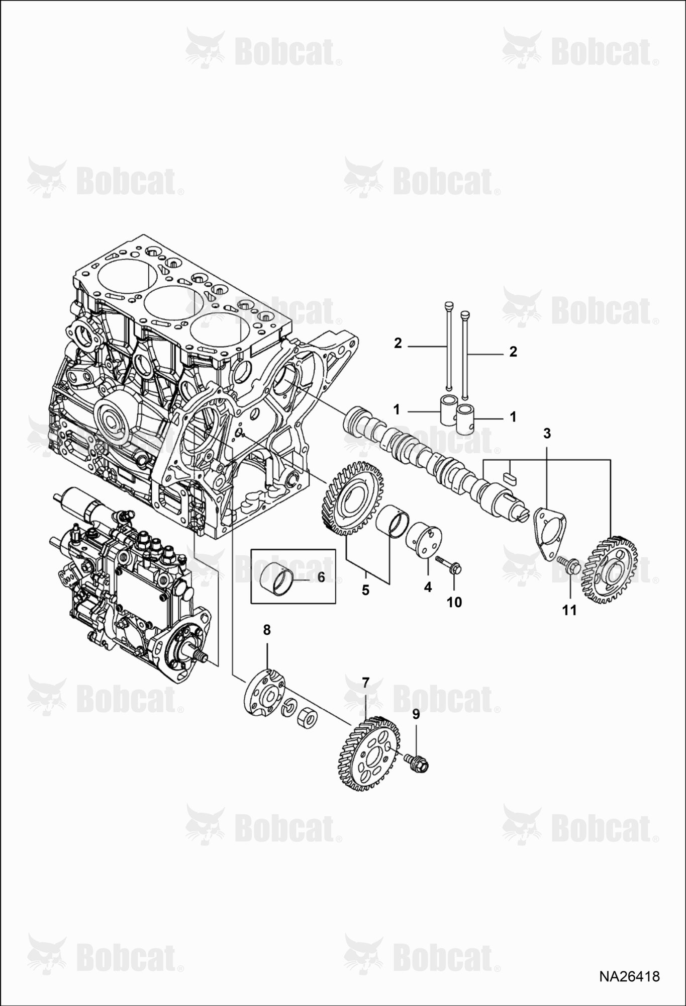 Camshaft & Driving Gear