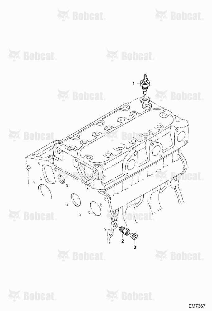 Oil Switch / Thermometer and Plug
