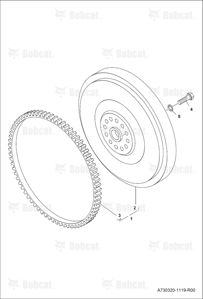 Flywheel and Starter Ring