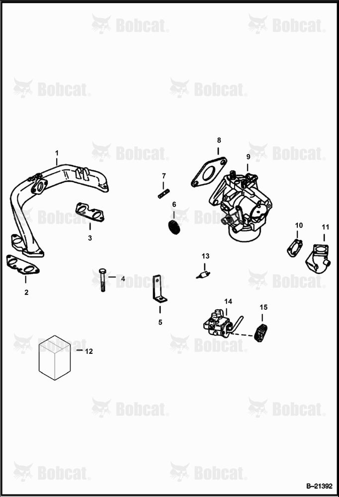 Manifold & Carburetor