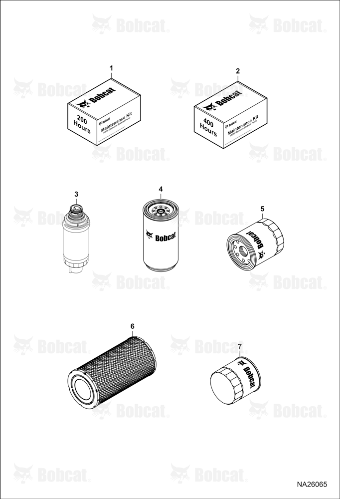 Maintenance Items (Scheduled Maintenance)