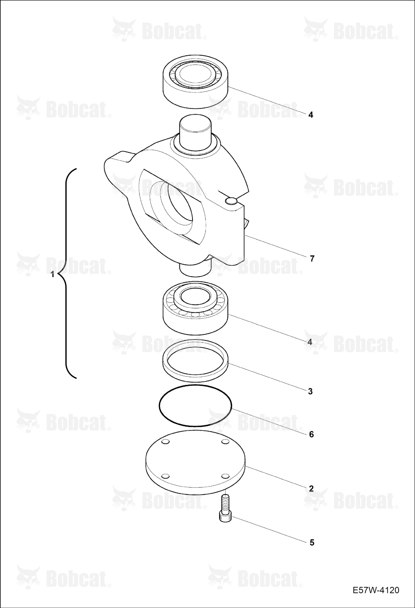 Hydrostatic Pump (Swash Plate)