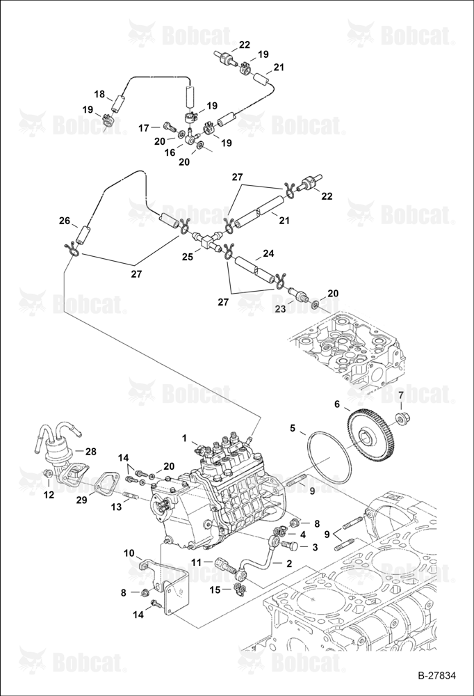 Fuel & Injection Pump