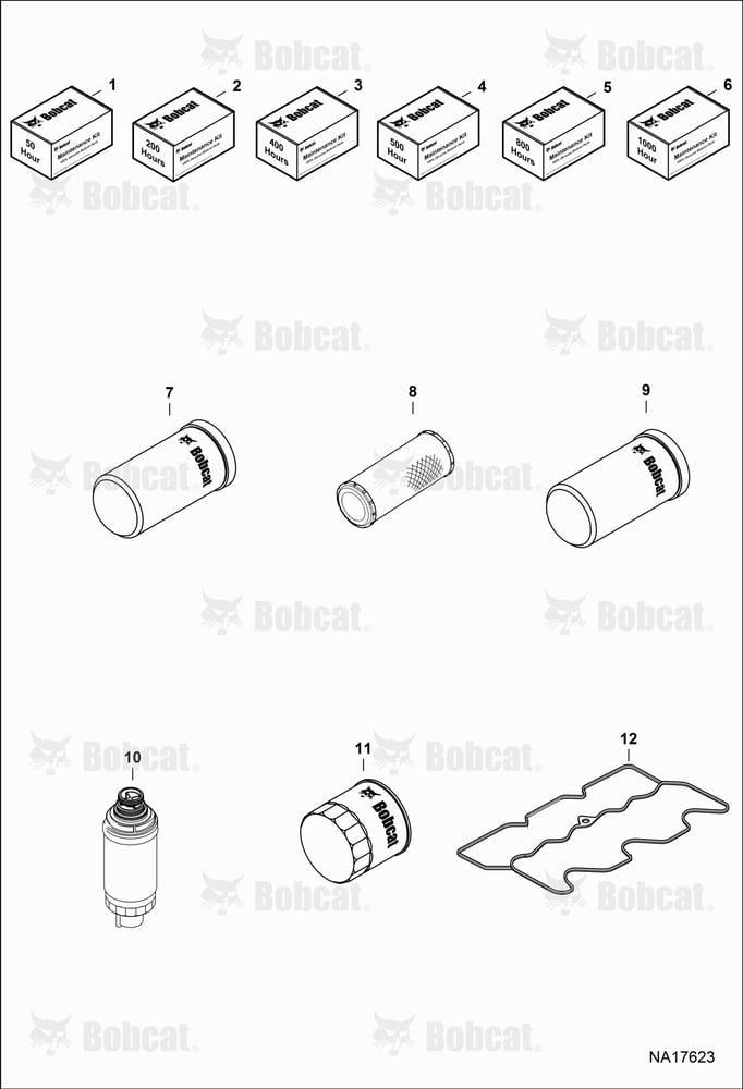 Maintenance Items (Scheduled Maintenance)