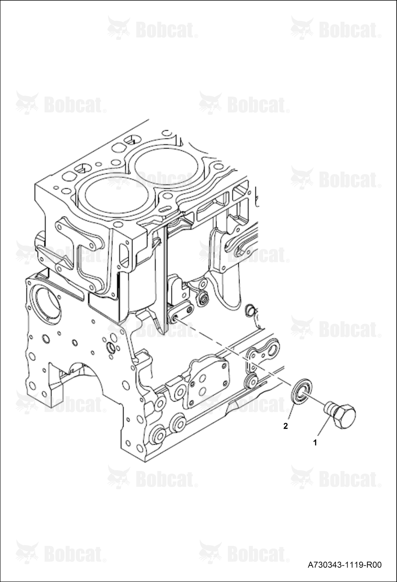 Blanking Plug